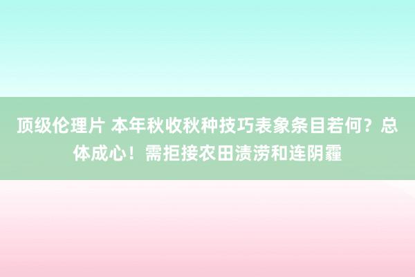 顶级伦理片 本年秋收秋种技巧表象条目若何？总体成心！需拒接农田渍涝和连阴霾