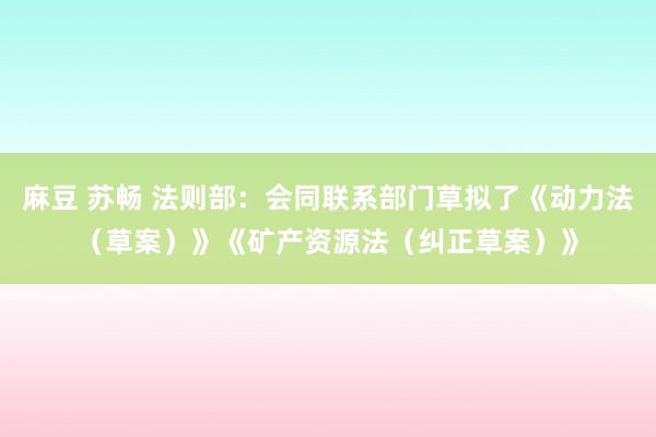 麻豆 苏畅 法则部：会同联系部门草拟了《动力法（草案）》《矿产资源法（纠正草案）》