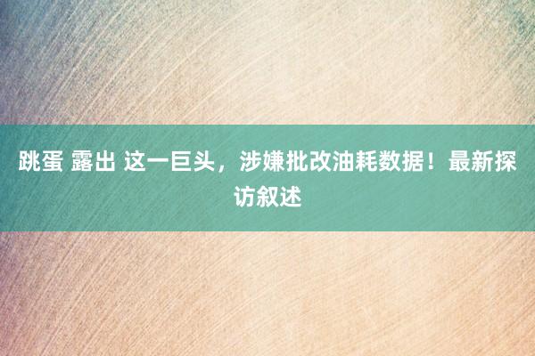 跳蛋 露出 这一巨头，涉嫌批改油耗数据！最新探访叙述