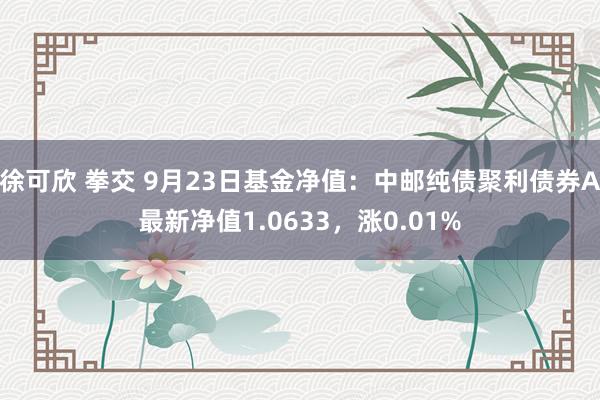 徐可欣 拳交 9月23日基金净值：中邮纯债聚利债券A最新净值1.0633，涨0.01%