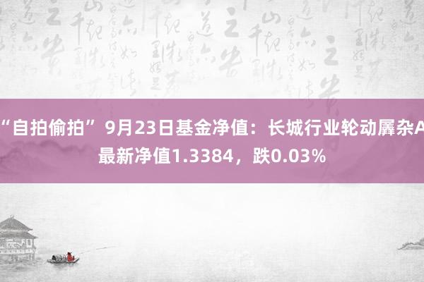 “自拍偷拍” 9月23日基金净值：长城行业轮动羼杂A最新净值1.3384，跌0.03%