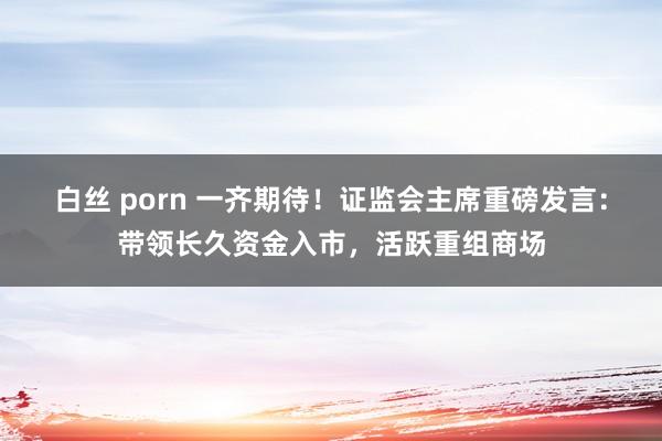 白丝 porn 一齐期待！证监会主席重磅发言：带领长久资金入市，活跃重组商场