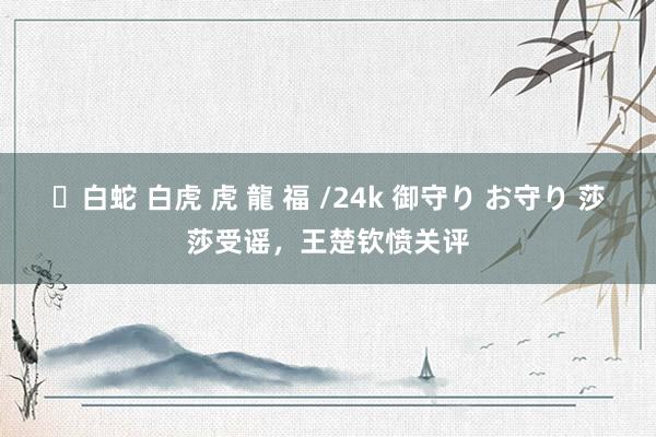 ✨白蛇 白虎 虎 龍 福 /24k 御守り お守り 莎莎受谣，王楚钦愤关评