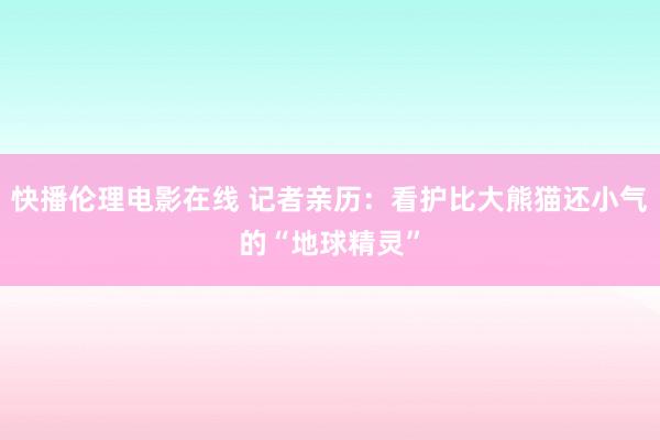 快播伦理电影在线 记者亲历：看护比大熊猫还小气的“地球精灵”