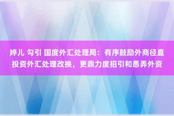 婷儿 勾引 国度外汇处理局：有序鼓励外商径直投资外汇处理改换，更鼎力度招引和愚弄外资