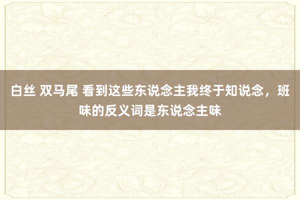 白丝 双马尾 看到这些东说念主我终于知说念，班味的反义词是东说念主味