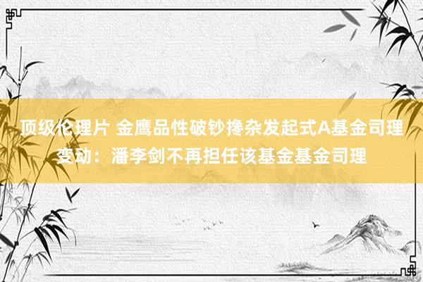 顶级伦理片 金鹰品性破钞搀杂发起式A基金司理变动：潘李剑不再担任该基金基金司理