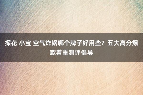 探花 小宝 空气炸锅哪个牌子好用些？五大高分爆款着重测评倡导