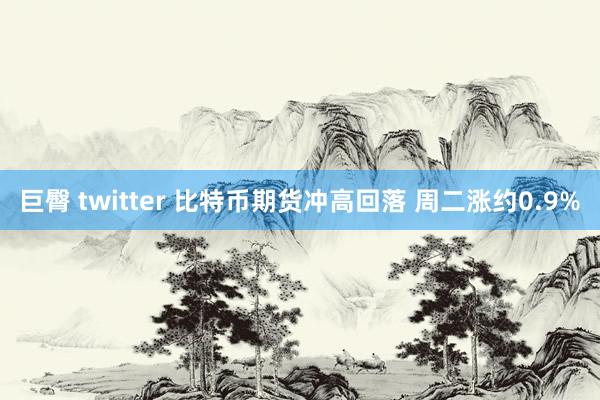 巨臀 twitter 比特币期货冲高回落 周二涨约0.9%