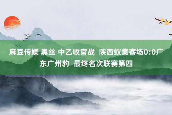 麻豆传媒 黑丝 中乙收官战  陕西蚁集客场0:0广东广州豹  最终名次联赛第四