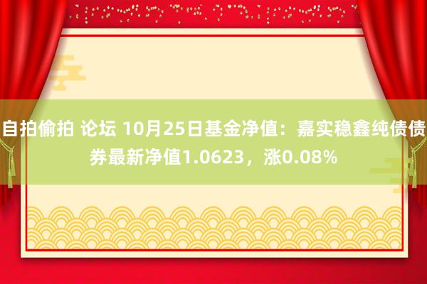 自拍偷拍 论坛 10月25日基金净值：嘉实稳鑫纯债债券最新净值1.0623，涨0.08%