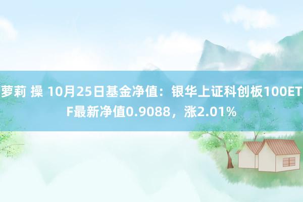 萝莉 操 10月25日基金净值：银华上证科创板100ETF最新净值0.9088，涨2.01%