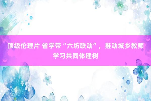 顶级伦理片 省学带“六坊联动”，推动城乡教师学习共同体建树