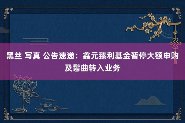 黑丝 写真 公告速递：鑫元臻利基金暂停大额申购及鬈曲转入业务