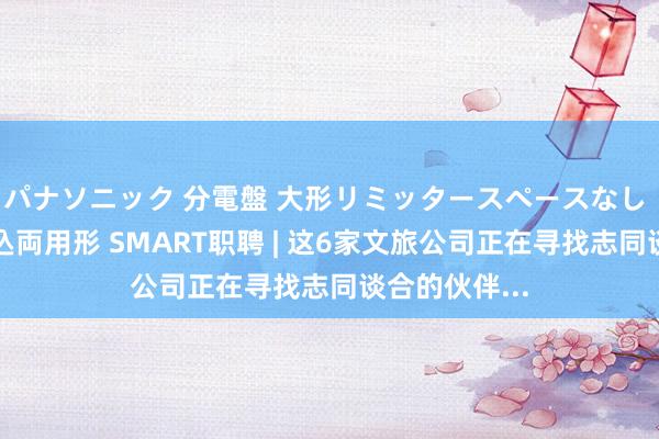 パナソニック 分電盤 大形リミッタースペースなし 露出・半埋込両用形 SMART职聘 | 这6家文旅公司正在寻找志同谈合的伙伴...