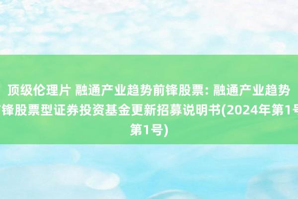 顶级伦理片 融通产业趋势前锋股票: 融通产业趋势前锋股票型证券投资基金更新招募说明书(2024年第1号)