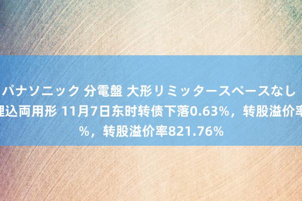 パナソニック 分電盤 大形リミッタースペースなし 露出・半埋込両用形 11月7日东时转债下落0.63%，转股溢价率821.76%