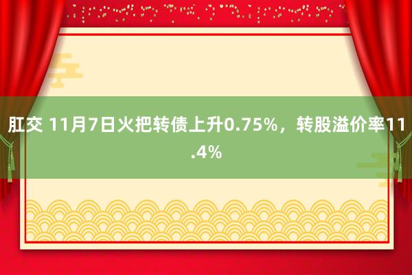 肛交 11月7日火把转债上升0.75%，转股溢价率11.4%