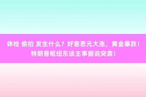 体检 偷拍 发生什么？好意思元大涨，黄金暴跌！特朗普枢纽东谈主事据说突袭！