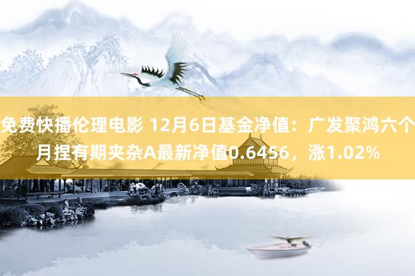 免费快播伦理电影 12月6日基金净值：广发聚鸿六个月捏有期夹杂A最新净值0.6456，涨1.02%