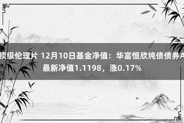 顶级伦理片 12月10日基金净值：华富恒欣纯债债券A最新净值1.1198，涨0.17%