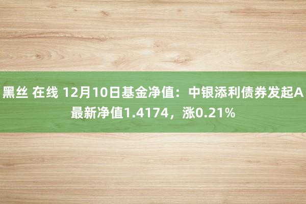 黑丝 在线 12月10日基金净值：中银添利债券发起A最新净值1.4174，涨0.21%