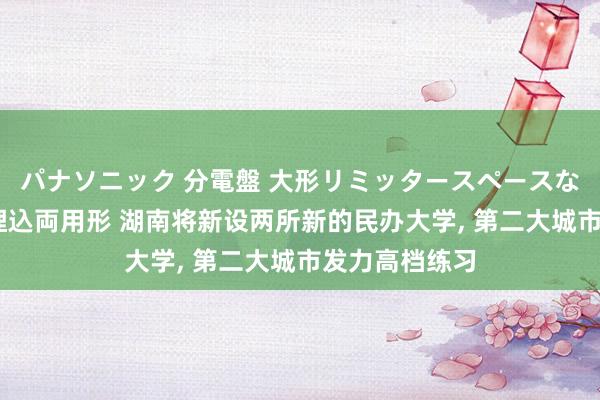 パナソニック 分電盤 大形リミッタースペースなし 露出・半埋込両用形 湖南将新设两所新的民办大学, 第二大城市发力高档练习