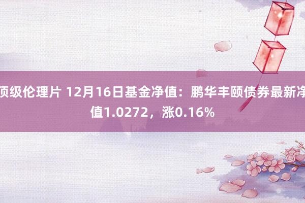 顶级伦理片 12月16日基金净值：鹏华丰颐债券最新净值1.0272，涨0.16%