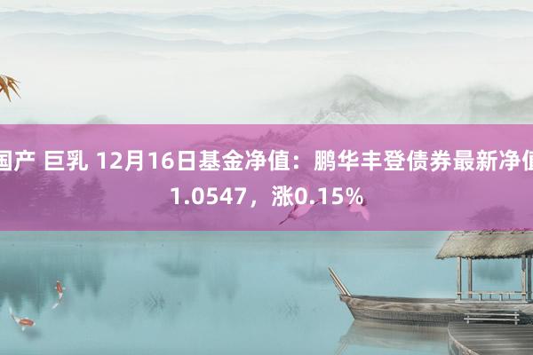 国产 巨乳 12月16日基金净值：鹏华丰登债券最新净值1.0547，涨0.15%