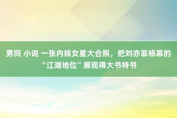 男同 小说 一张内娱女星大合照，把刘亦菲杨幂的“江湖地位”展现得大书特书