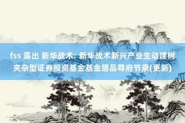 fss 露出 新华战术: 新华战术新兴产业生动建树夹杂型证券投资基金基金居品尊府节录(更新)