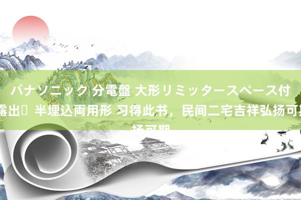 パナソニック 分電盤 大形リミッタースペース付 露出・半埋込両用形 习得此书，民间二宅吉祥弘扬可期