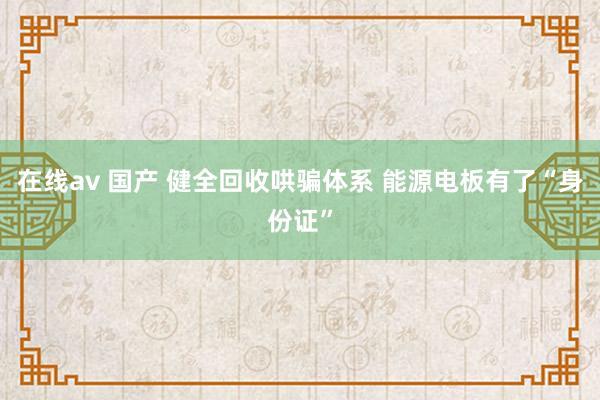 在线av 国产 健全回收哄骗体系 能源电板有了“身份证”