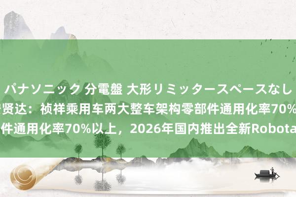 パナソニック 分電盤 大形リミッタースペースなし 露出・半埋込両用形 安贤达：祯祥乘用车两大整车架构零部件通用化率70%以上，2026年国内推出全新Robotaxi制定车