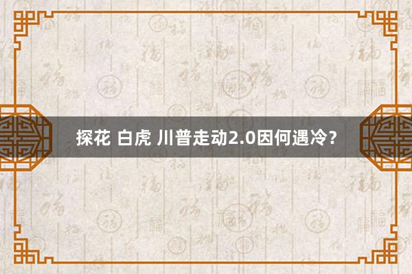 探花 白虎 川普走动2.0因何遇冷？